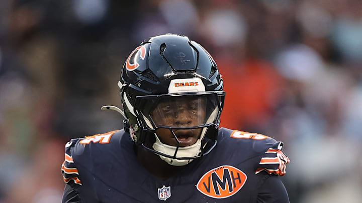 Dayo Odeyingbo of the Chicago Bears