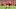 Xavier Worthy, Kansas City Chiefs, 2026 Fantasy Football Xavier Worthy, Kansas City Chiefs, 2026 Fantasy Football