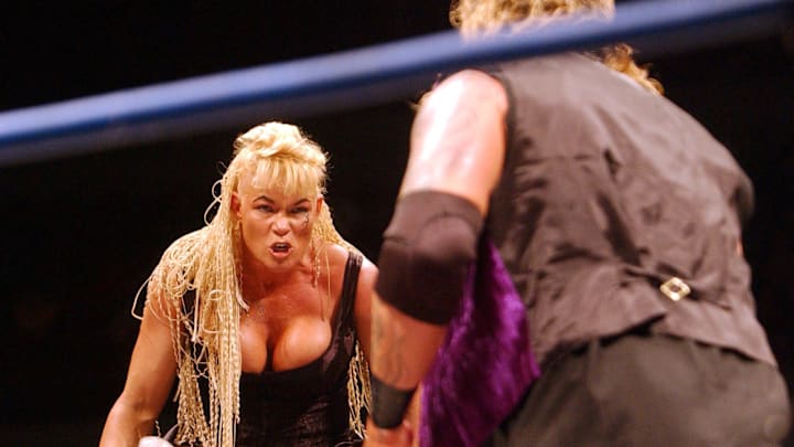 WWA Wrestling X