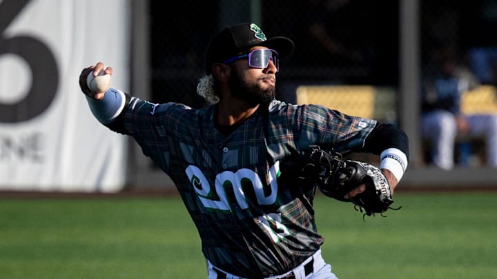 San Francisco Giants No. 12 prospect Aeverson Arteaga