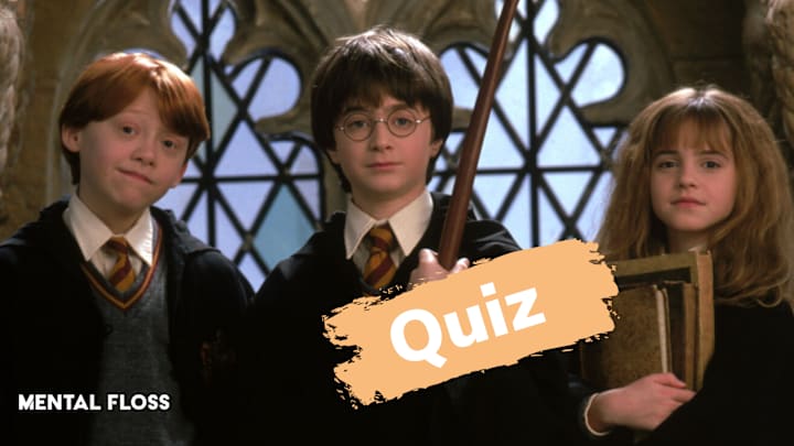 ‘Harry Potter and the Sorcerer’s Stone’