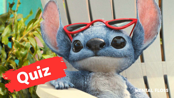 ‘Lilo & Stitch’ ‘Lilo & Stitch’