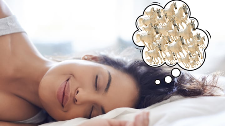 Dreaming of 50 white horses