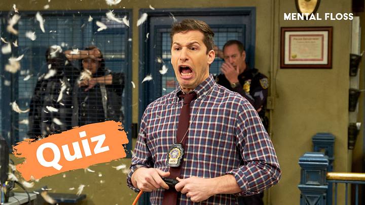 Andy Samberg in ‘Brooklyn Nine-Nine’ Andy Samberg in ‘Brooklyn Nine-Nine’