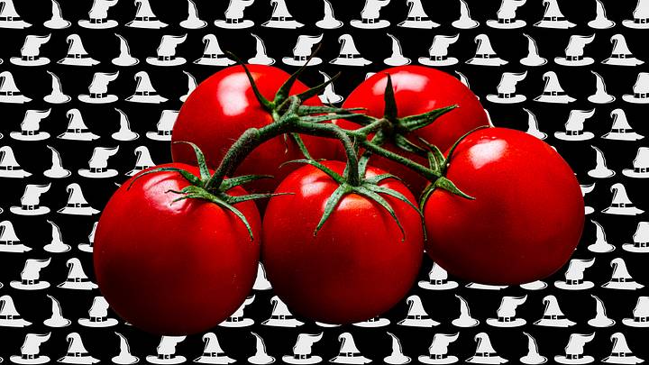Tomatoes on a backdrop of witch hats Tomatoes on a backdrop of witch hats