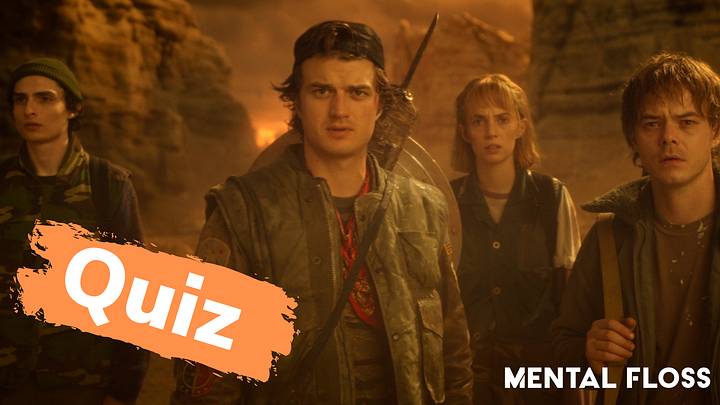 Mike, Steve, Robin, Jonathan from 'Stranger Things' Mike, Steve, Robin, Jonathan from 'Stranger Things'