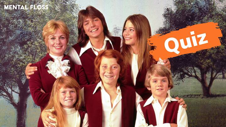 ‘The Partridge Family’ ‘The Partridge Family’