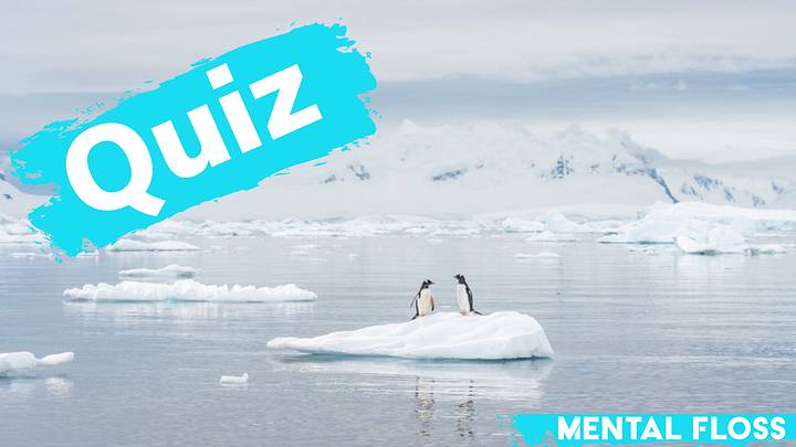 Penguins on an ice floe in Antarctica Penguins on an ice floe in Antarctica
