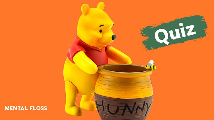 Winnie-the-Pooh Winnie-the-Pooh