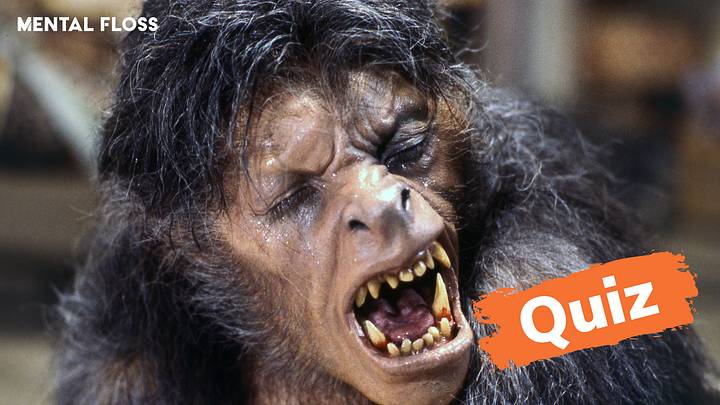 Actor David Naughton on the set of ‘An American Werewolf in London’ Actor David Naughton on the set of ‘An American Werewolf in London’