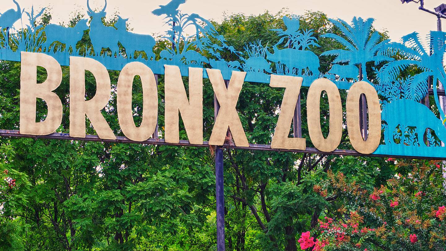 The 20 Best Zoos to Visit in the U.S.