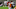 Isaiah Bond, Texas football Isaiah Bond, Texas football