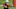 Silas Bolden, Texas football Silas Bolden, Texas football