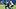 Indianapolis Colts rookie safety AJ Haulcy works during training camp