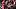 College Fantasy Football, Charlie Becker, Indiana Hoosiers