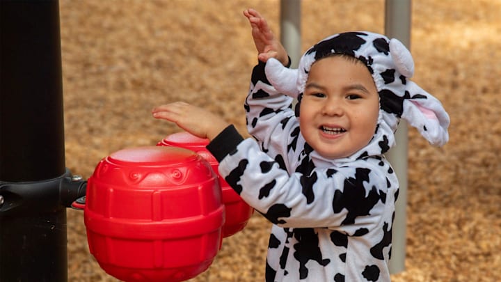 2-year-old Pedro Calvario is not the official mascot of the New Salem Holsteins, but he looks ready for the part.