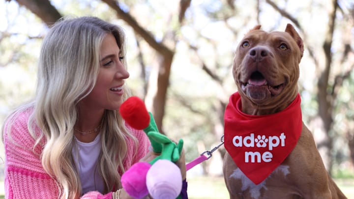 Here‘s Yamaha enjoying a date! (She is available for adoption at Broward County Animal Care in Florida.)