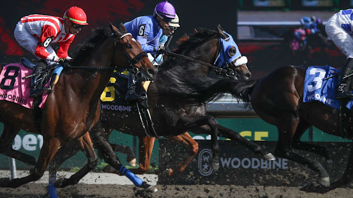 Woodbine Track Woodbine Track