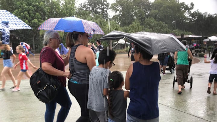 Rain starts to fall (and wind whips an umbrella!) at Animal Kingdom Saturday. Whether they were