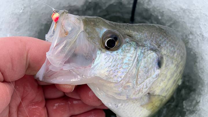 best fishing poles for lake Best Fishing Gear