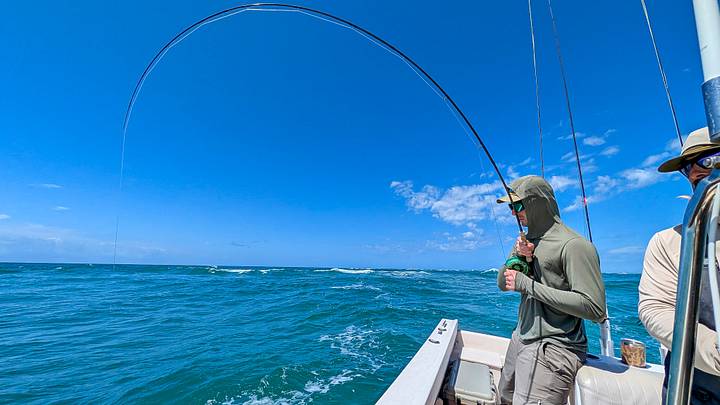 Fighting a bluefish off of North Carolina's Crystal Coast Fighting a bluefish off of North Carolina's Crystal Coast
