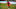 Alphonso Davies