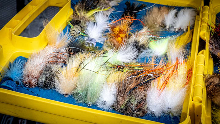 A box full of smallmouth candy.