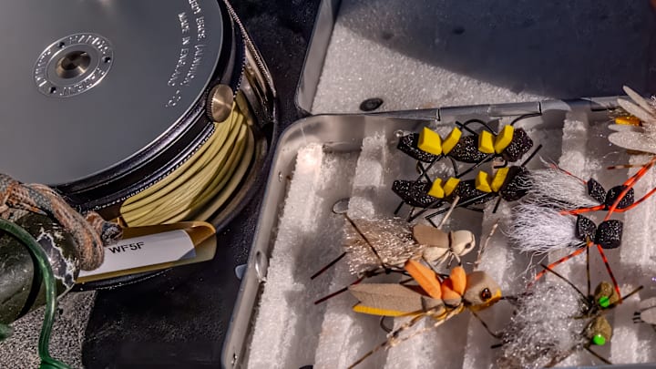 One of these caught fish, while the others didn't