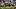 Southern Miss Football Southern Miss Football