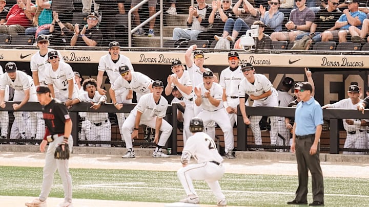 Wake Forest's dugout celebrates in game two against the Stanford Cardinal, March 7, 2026.