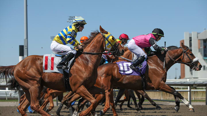 Woodbine Horse Track