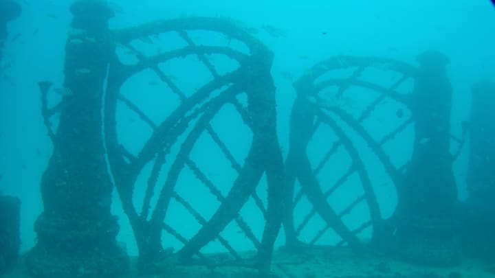 The Neptune Memorial Reef off Florida’s coast.
