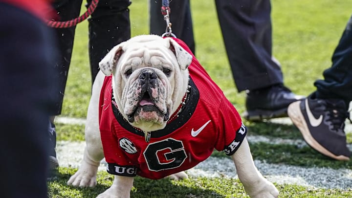 Apr 15, 2023; Athens, GA, USA; The Georgia Bulldogs new mascot uga XI on the field for the first time during the Georgia Spring Game at Sanford Stadium. Mandatory Credit: Dale Zanine-Imagn Images