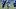 New York Giants running back Cam Skattebo New York Giants running back Cam Skattebo