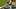 Abu Garcia Revo SX VoltiQ Baitcast Reel