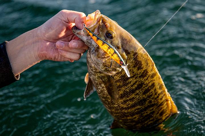 billy pate marlin fly reel Tibor Anti-Reverse Salmon How to Tie the Length:160mm Carbomatic GT 4000