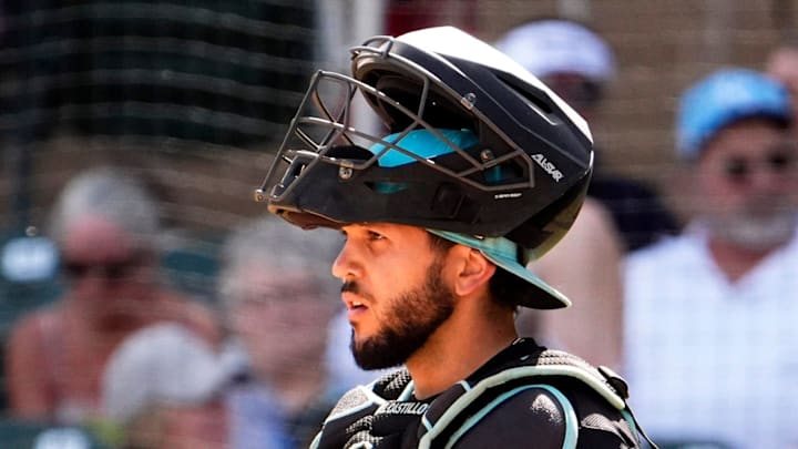Arizona Diamondbacks catcher Adrian Del Castillo against the Kansas City Royals in the fourth inning during a spring training game at Salt River Fields at Talking Stick on Feb. 28, 2025, in Scottsdale.