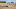 beagle puppy dog barking and howling in the sand on the beach in summer beagle puppy dog barking and howling in the sand on the beach in summer