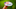 Close-up of I voted sticker on finger