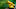 Golden Poison Frog Golden Poison Frog