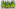 01k25hqkszzxvrffbmvw 7 Tips for Roasting Vegetables