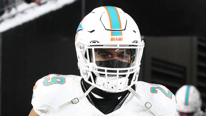 Dec 15, 2025; Pittsburgh, Pennsylvania, USA;  Miami Dolphins safety Minkah Fitzpatrick (29) takes the field against the Pittsburgh Steelers at Acrisure Stadium. Mandatory Credit: Charles LeClaire-Imagn Images