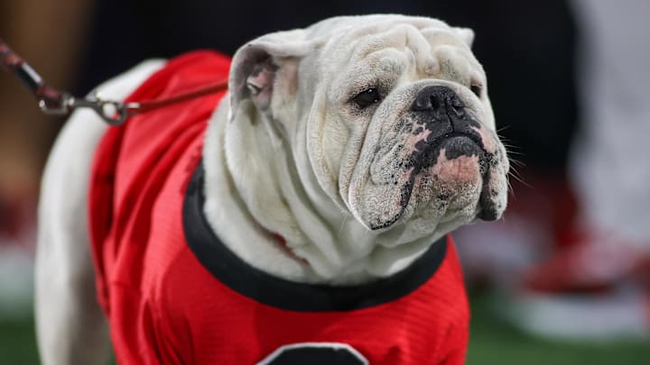 Nov 25, 2023; Atlanta, Georgia, USA; Georgia Bulldogs mascot Uga on the sideline before a game against the Georgia Tech Yellow Jackets at Bobby Dodd Stadium at Hyundai Field. Mandatory Credit: Brett Davis-Imagn Images
