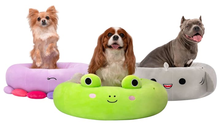 Squishmallows pet beds from Jazwares Pets