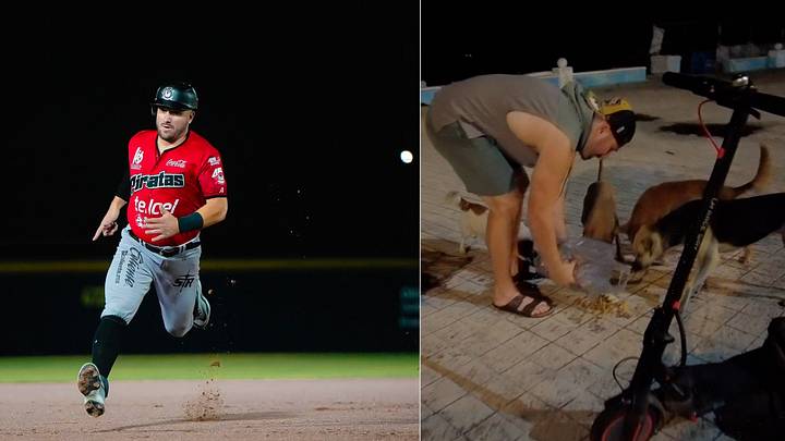 El sueño de Connor Panas es poder crear una fundación para los perritos sin hogar en Campeche El sueño de Connor Panas es poder crear una fundación para los perritos sin hogar en Campeche