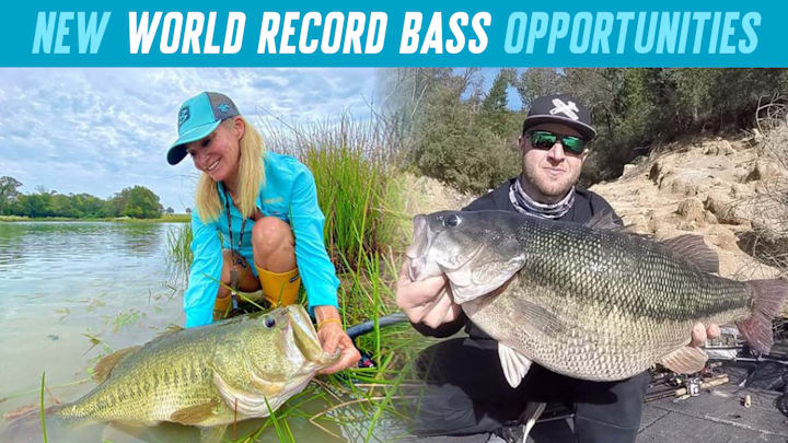 Dreaming of your name in the record books? With new black bass categories, the IGFA is offering more ways to claim a world record bass.