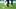 Richie Laryea, Alphonso Davies