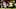 Oregon, USC, Dan Lanning, Jeff Bassa, Tosh Lupoi Oregon, USC, Dan Lanning, Jeff Bassa, Tosh Lupoi