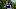 Oklahoma Sooners, John Mateer Oklahoma Sooners, John Mateer