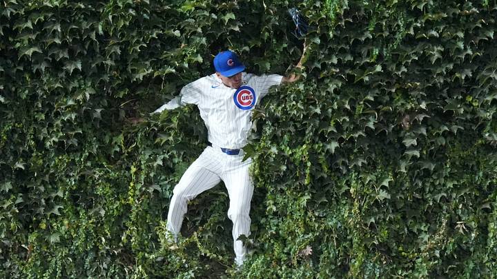 Chicago Cubs left fielder Tyrone Taylor. Credit: David Banks-Imagn Images Chicago Cubs left fielder Tyrone Taylor. Credit: David Banks-Imagn Images